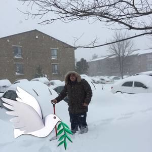 Meet your Posher, Anibal